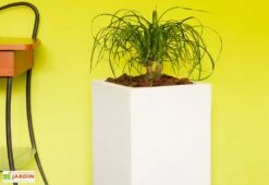 Pot De Fleurs En Polyéthylène Atlantis – 30 X 30 X 47 Cm -Garantia Boutique bac a fleurs blanc 2