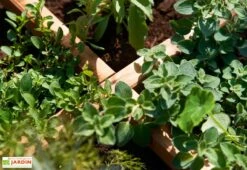 Carré Potager En Bois Autoclave Sur Pieds 80 X 80 Cm H. 88 Cm - Rezekne -Garantia Boutique bac potager bois sureleve ekju 253394