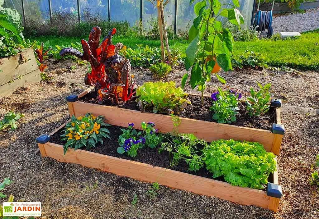 Carré Potager En Bois Douglas Non Traité Sur Deux étages Premium – 136 L 3 Carré Potager En Bois Douglas Non Traité Sur Deux étages Premium – 136 L