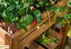 Carré Potager Sur Pieds En Bois Autoclave Brun - 75 X 75 X 79 Cm -Garantia Boutique carre potager bois 1 1