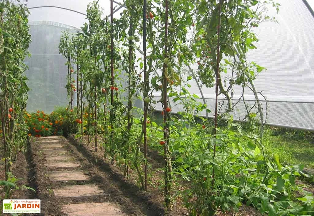 Serre Tunnel Tonneau En Polyéthylène 34 M² - Gothique 7,5 X 4,5 M 5 Serre Tunnel Tonneau En Polyéthylène 34 M² - Gothique 7,5 X 4,5 M – Image 3