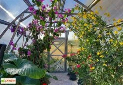 Serre De Jardin En Polycarbonate Et Acier Galvanisé 10 Serre De Jardin En Polycarbonate Et Acier Galvanisé -Garantia Boutique interieur serre jardin polycarbonate