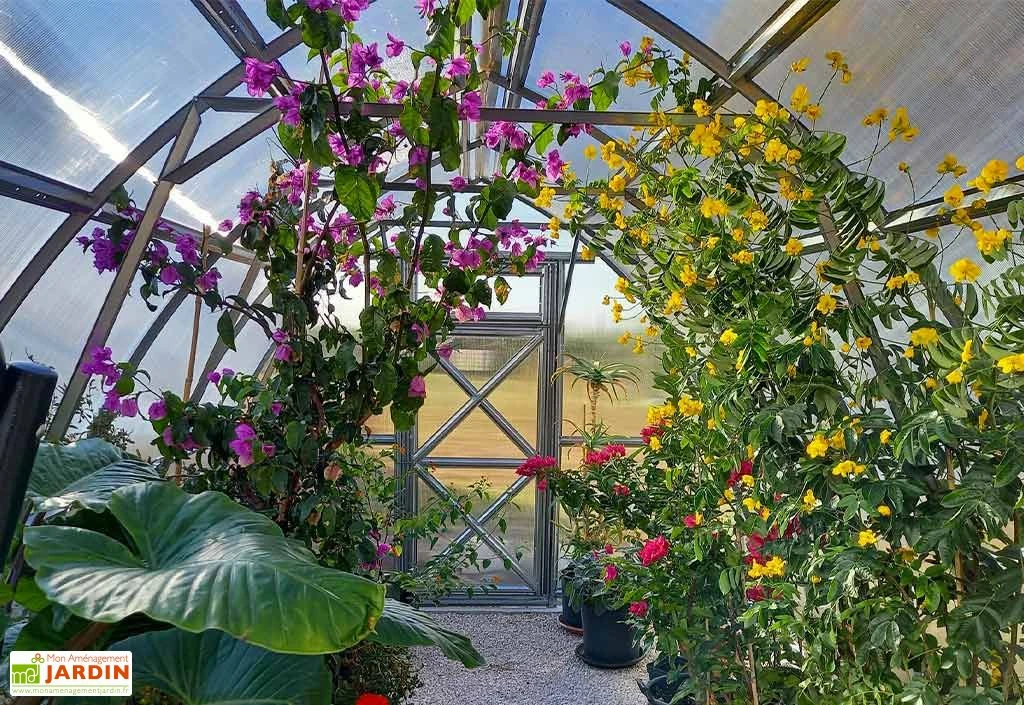 Serre De Jardin En Polycarbonate Et Acier Galvanisé 6 Serre De Jardin En Polycarbonate Et Acier Galvanisé – Image 4