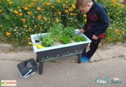 Jardinière Enfant Calipso Mini Junior + Panier Et Acc. – Bleu Pastel 8 Jardinière Enfant Calipso Mini Junior + Panier Et Acc. – Bleu Pastel -Garantia Boutique jardiniere enfant calipso 40l panier kajo 4l bleu pastel 2