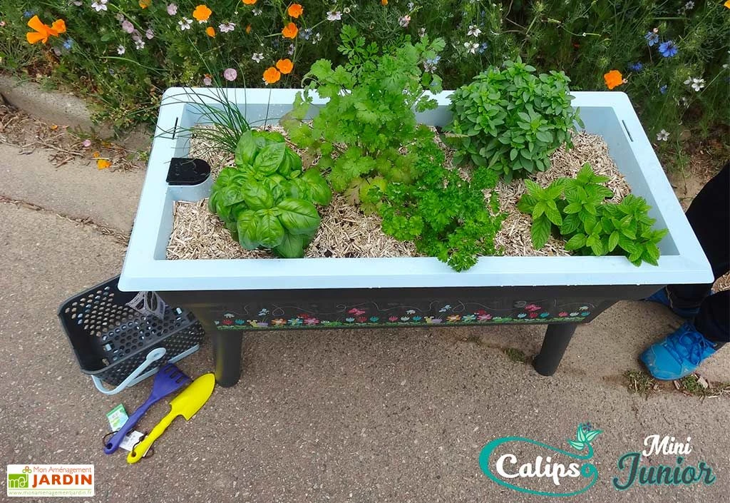 Jardinière Enfant Calipso Mini Junior + Panier Et Acc. – Bleu Pastel 6 Jardinière Enfant Calipso Mini Junior + Panier Et Acc. – Bleu Pastel – Image 4