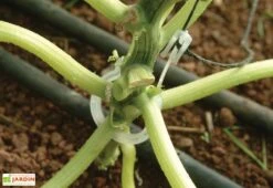 Kit De Palissage Pro Pour Serre De Jardin Palram -Garantia Boutique kit palissage palram serre jardin trellising kit pro 3