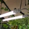 Lampe Horticole LED UV Et Infrarouge – Brighton 2 Lampe Horticole LED UV Et Infrarouge – Brighton -Garantia Boutique lampe horticole led croissance plantes canopia palram brighton