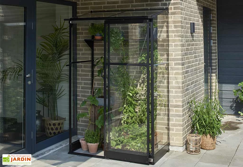 Halls Serre De Jardin Adossée En Verre Trempé Qube Lean-to 24 – 0,8 M²