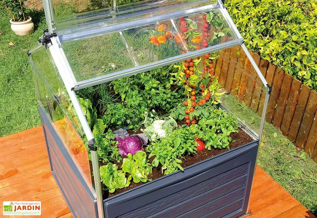 Mini Serre De Jardin En Aluminium Et Polycarbonate Plant Inn (118 X 118 Cm) 4 Mini Serre De Jardin En Aluminium Et Polycarbonate Plant Inn (118 X 118 Cm) – Image 2