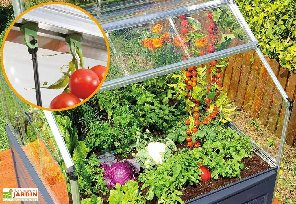 Mini Serre De Jardin En Aluminium Et Polycarbonate Plant Inn (118 X 118 Cm) 8 Mini Serre De Jardin En Aluminium Et Polycarbonate Plant Inn (118 X 118 Cm) – Image 6