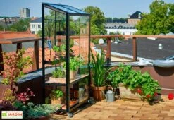 Mini Serre De Jardin En Verre Trempé – Juliana City -Garantia Boutique mini serre jardin verre trempe aluminium juliana city