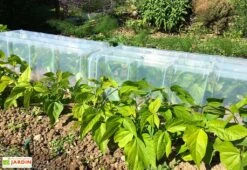 Serre De Jardin Tunnel De Forçage : Bases + Embouts + Piquets (105 X 39 X 30 Cm) -Garantia Boutique mini serre tunnel forcage mvi modulo 40 1