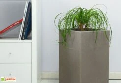 Pot De Fleurs En Polyéthylène Atlantis – 30 X 30 X 47 Cm -Garantia Boutique pot de fleurs gris 6