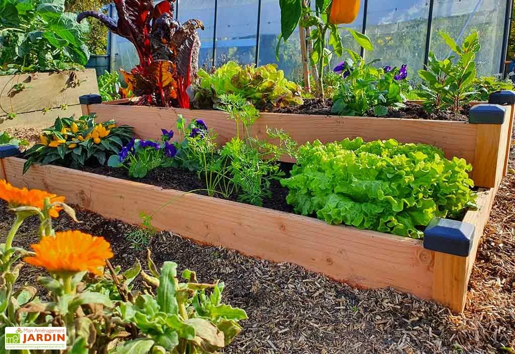 Carré Potager En Bois Douglas Non Traité Sur Deux étages Premium – 136 L 4 Carré Potager En Bois Douglas Non Traité Sur Deux étages Premium – 136 L – Image 2