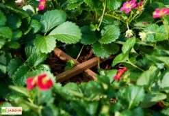 Carré Potager Sur Pieds En Bois Autoclave Brun - 75 X 75 X 79 Cm -Garantia Boutique potager bois surelever 1