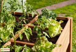 Carré Potager En Bois Autoclave Sur Pieds 120 X 80 Cm H. 88 Cm - Ventspils -Garantia Boutique separateur bac potager bois ekju 253478