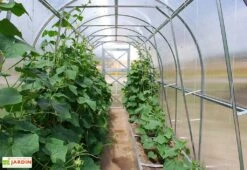 Serre De Jardin Tunnel En Polycarbonate Et Acier -Garantia Boutique serre jardin tunnel interieur