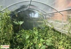 Serre Tunnel Tonneau En Polyéthylène 31,5 M² - 4 Saisons 10,5 X 3 M -Garantia Boutique serre jardin tunnel polyethylene tonneau 4 saisons 3m 5