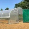 Serre Tunnel Tonneau En Polyéthylène 30 M² - 5ème Saison 6 X 5 M