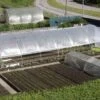 Serre Tunnel Tonneau En Polyéthylène 39 M² - Mini 10,5 X 3,7 M -Garantia Boutique serre tunnel mini 3 7x10 5