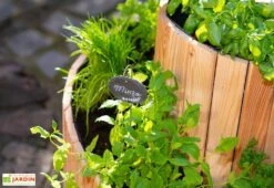 Spirale Aromatique – Jardinière En Bois De Mélèze Ø55 Cm 10 Spirale Aromatique – Jardinière En Bois De Mélèze Ø55 Cm -Garantia Boutique spirale aromatique jardiniere bois 55cm