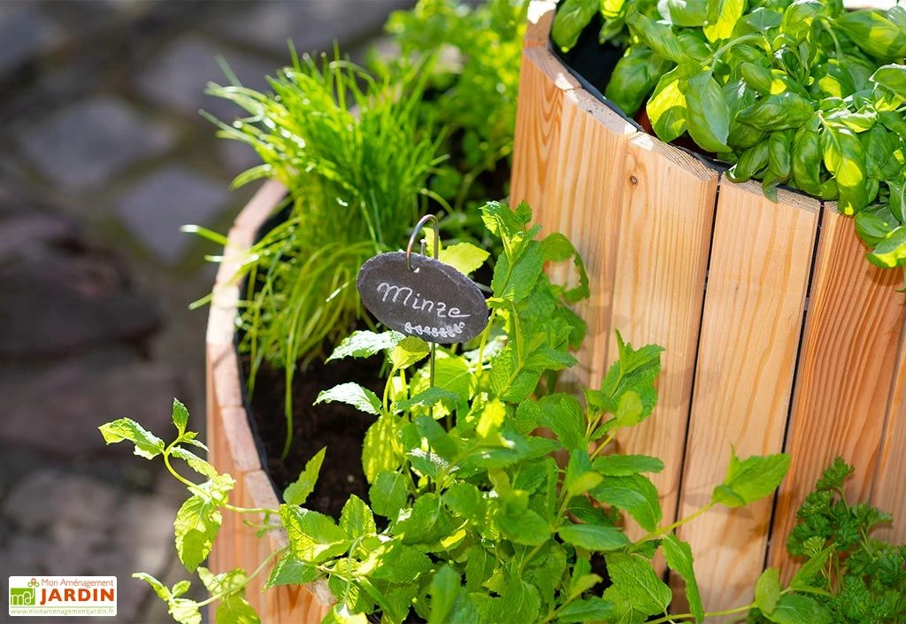 Spirale Aromatique – Jardinière En Bois De Mélèze Ø55 Cm 5 Spirale Aromatique – Jardinière En Bois De Mélèze Ø55 Cm – Image 3