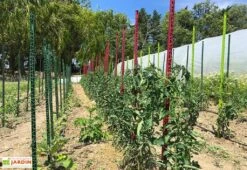 Tuteur Avec Attaches Mikado Anthracite 150 Cm (Lot De 6) -Garantia Boutique tuteurs tomates colores plastique 150cm 2